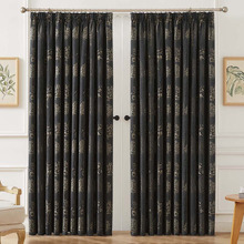 Botanica Room Darkening Pencil Pleat Curtains (Set of 2)